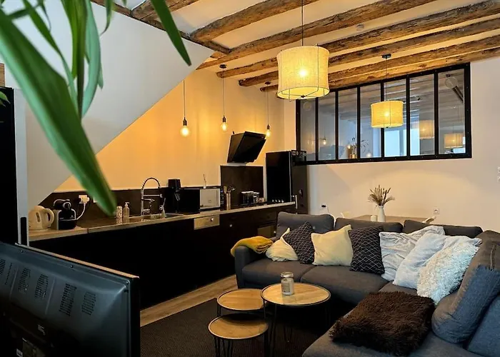Appartement Cosy Centre Grenoble