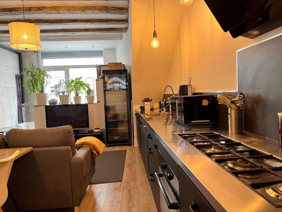 Apartment Cosy Centre Grenoble